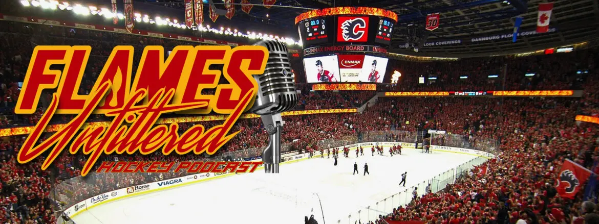 Calgary Flames hockey game action inside the arena with fans.